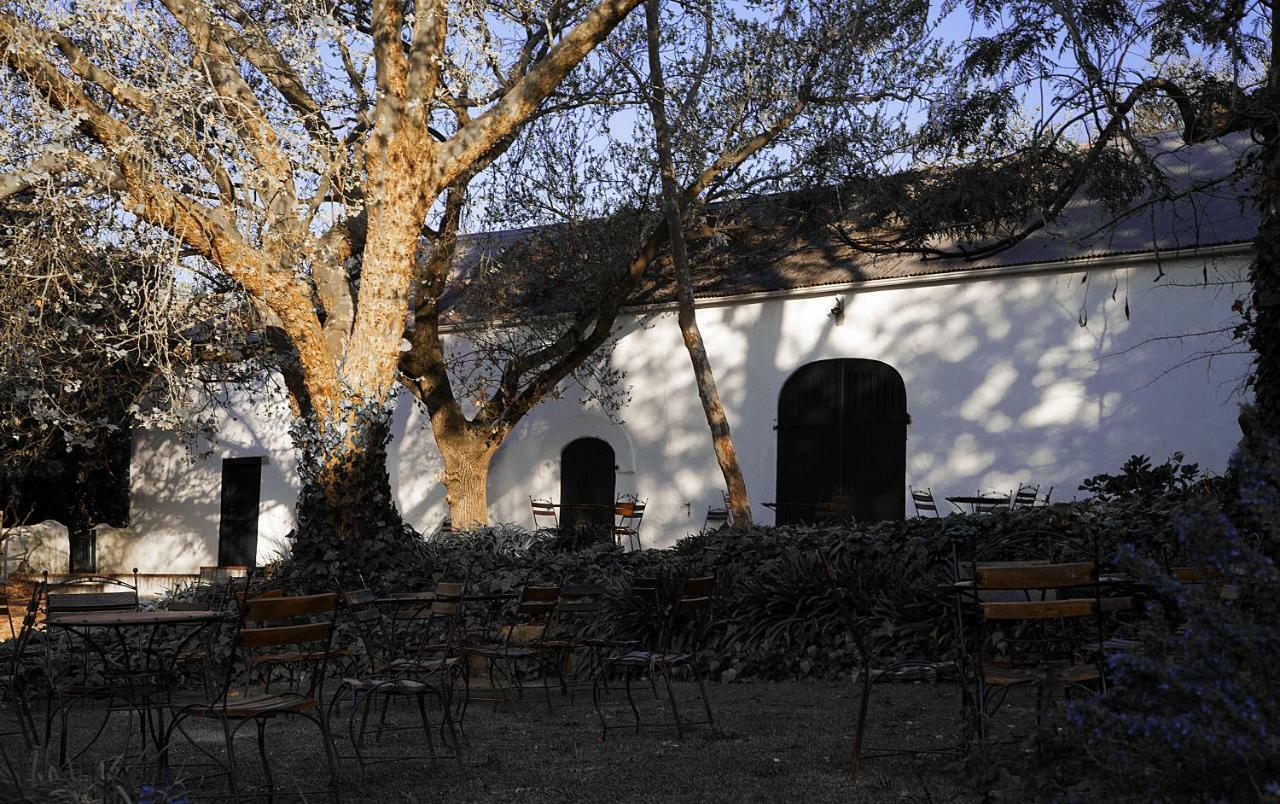 Апартаменти Mooiplaas Wine Estate Стелленбос Екстер'єр фото