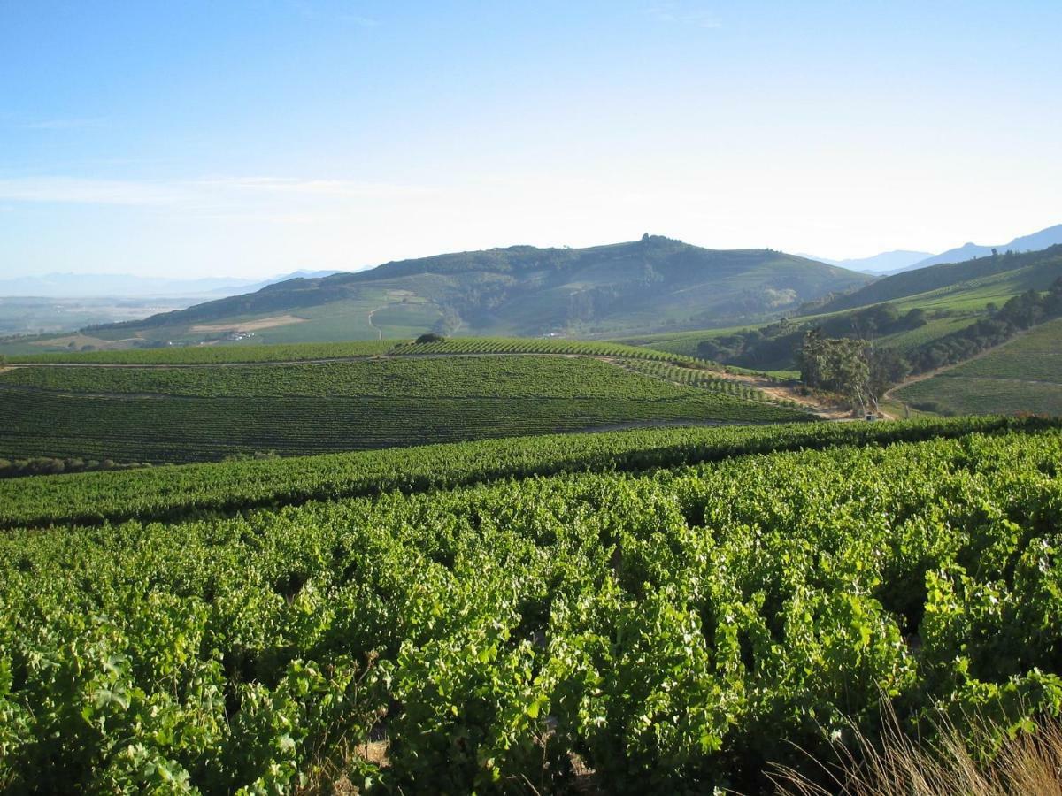 Апартаменти Mooiplaas Wine Estate Стелленбос Екстер'єр фото